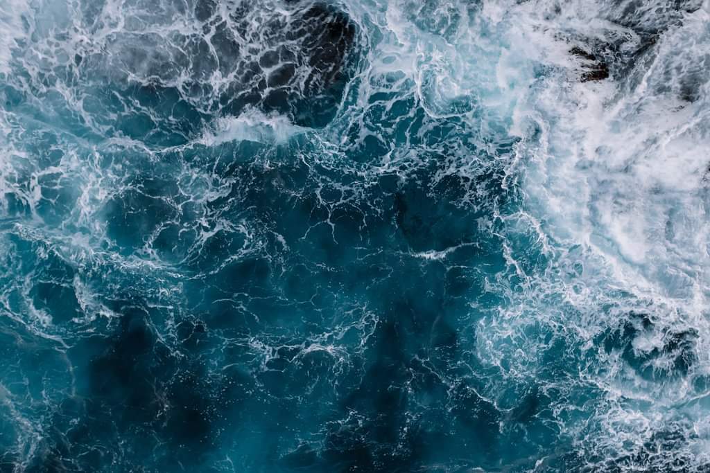 FavoriteWaves OnlyFans header