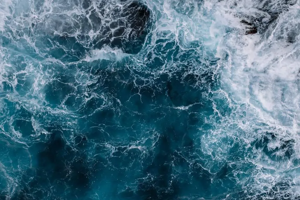 FavoriteWaves OnlyFans header