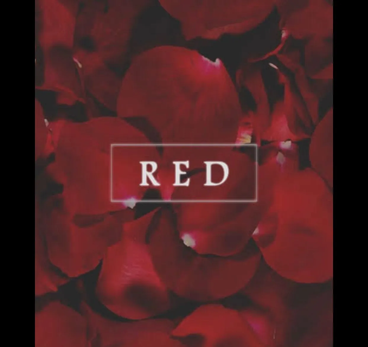 Hotgirl101 OnlyFans header