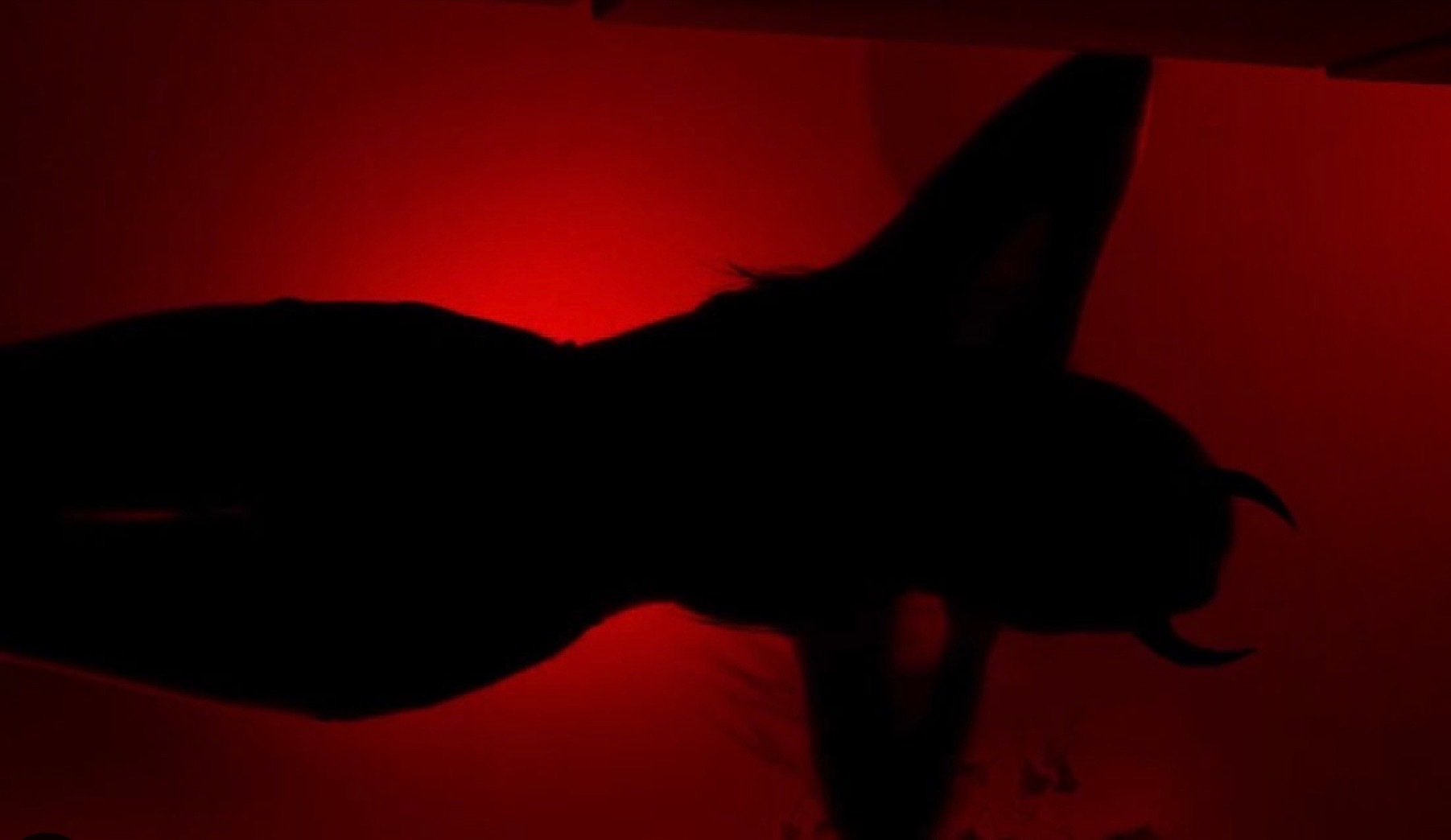 Stepmommy OnlyFans header