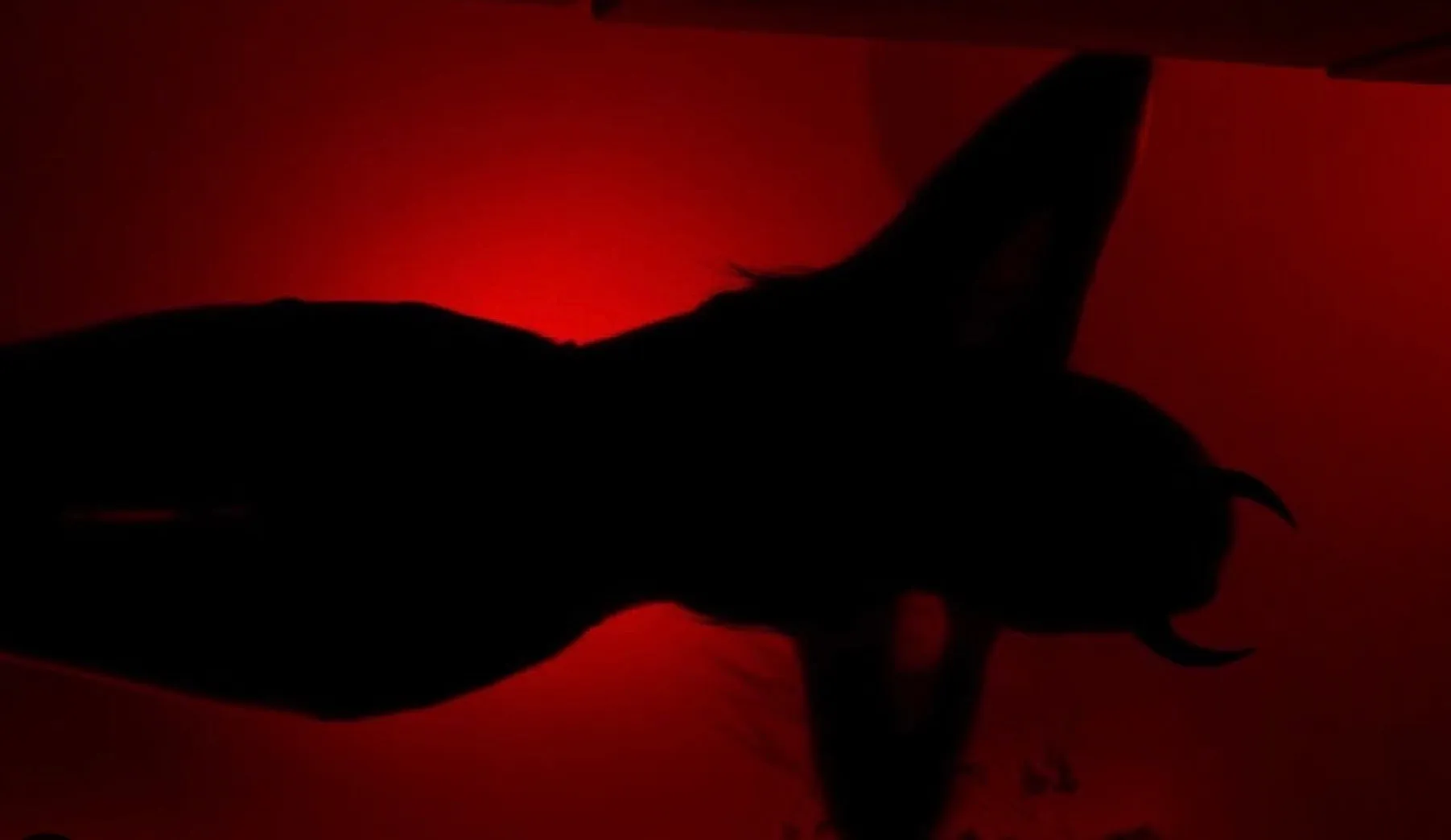 Stepmommy OnlyFans header