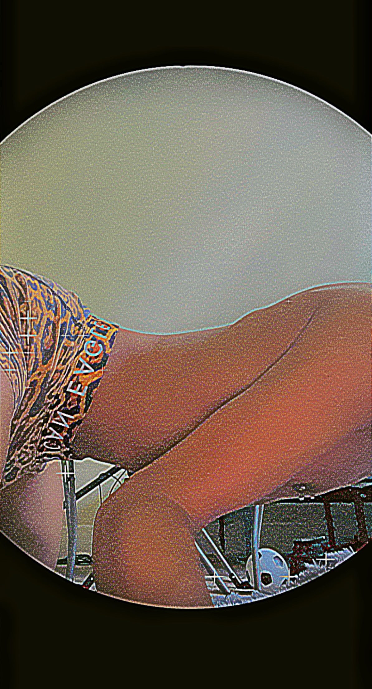 🦋🔥✨ OnlyFans header