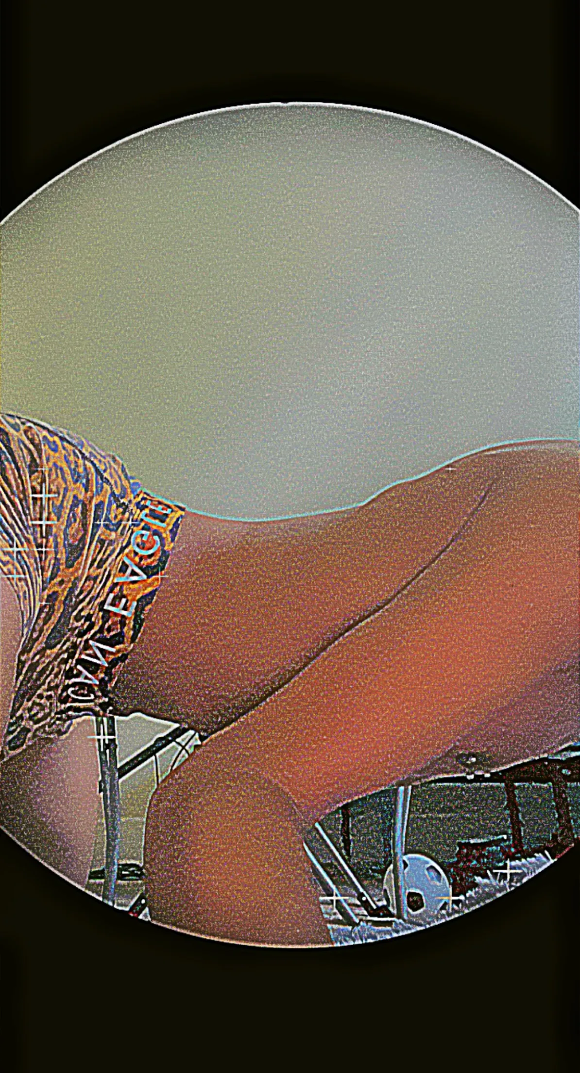 🦋🔥✨ OnlyFans header