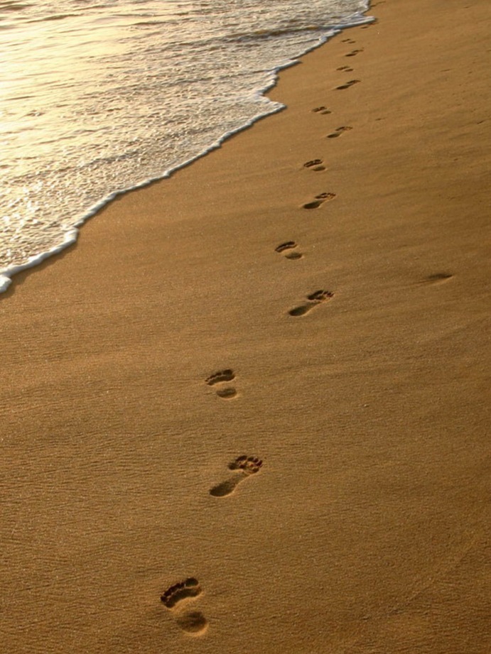 Nicole your feet princess OnlyFans header