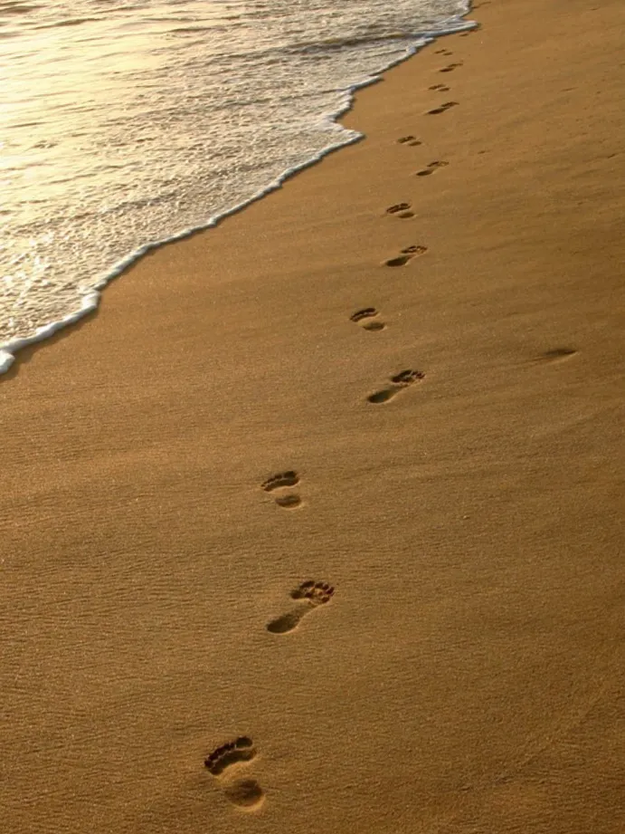 Nicole your feet princess OnlyFans header