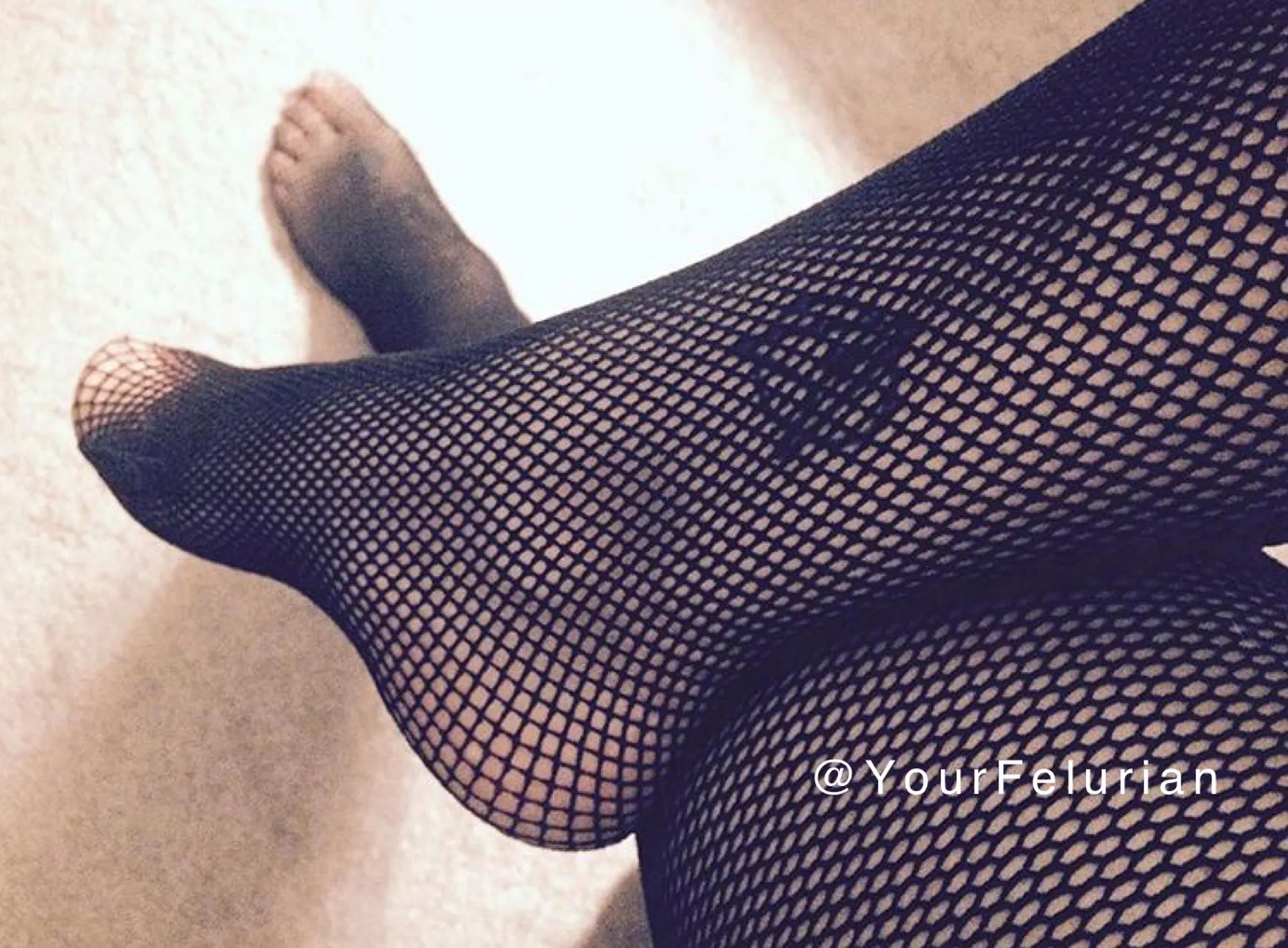 YourFelurian OnlyFans header