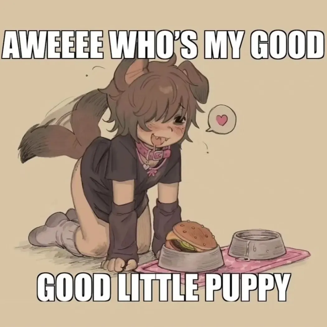 SoftAndThiccPuppyFemboy OnlyFans header