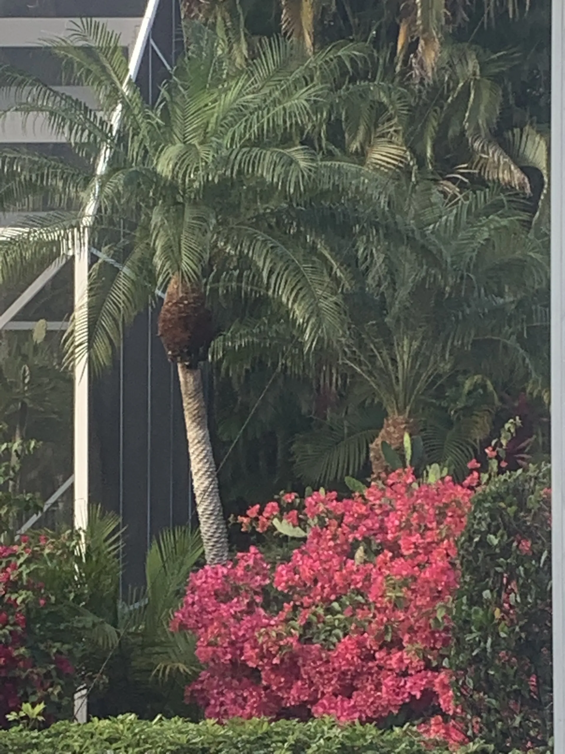 Peter piper OnlyFans header