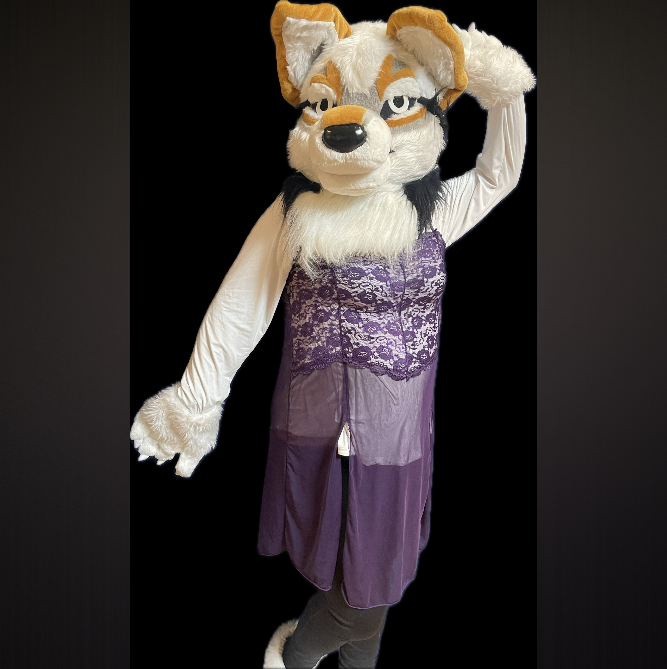 FurryPhoenixWolf OnlyFans