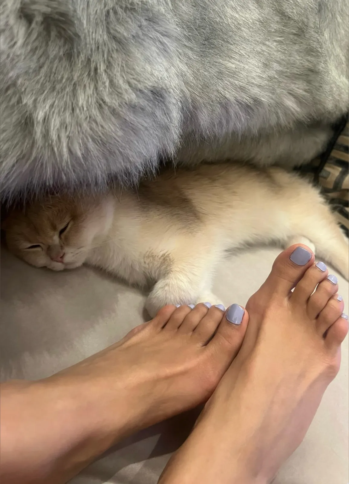 Shay OnlyFans header