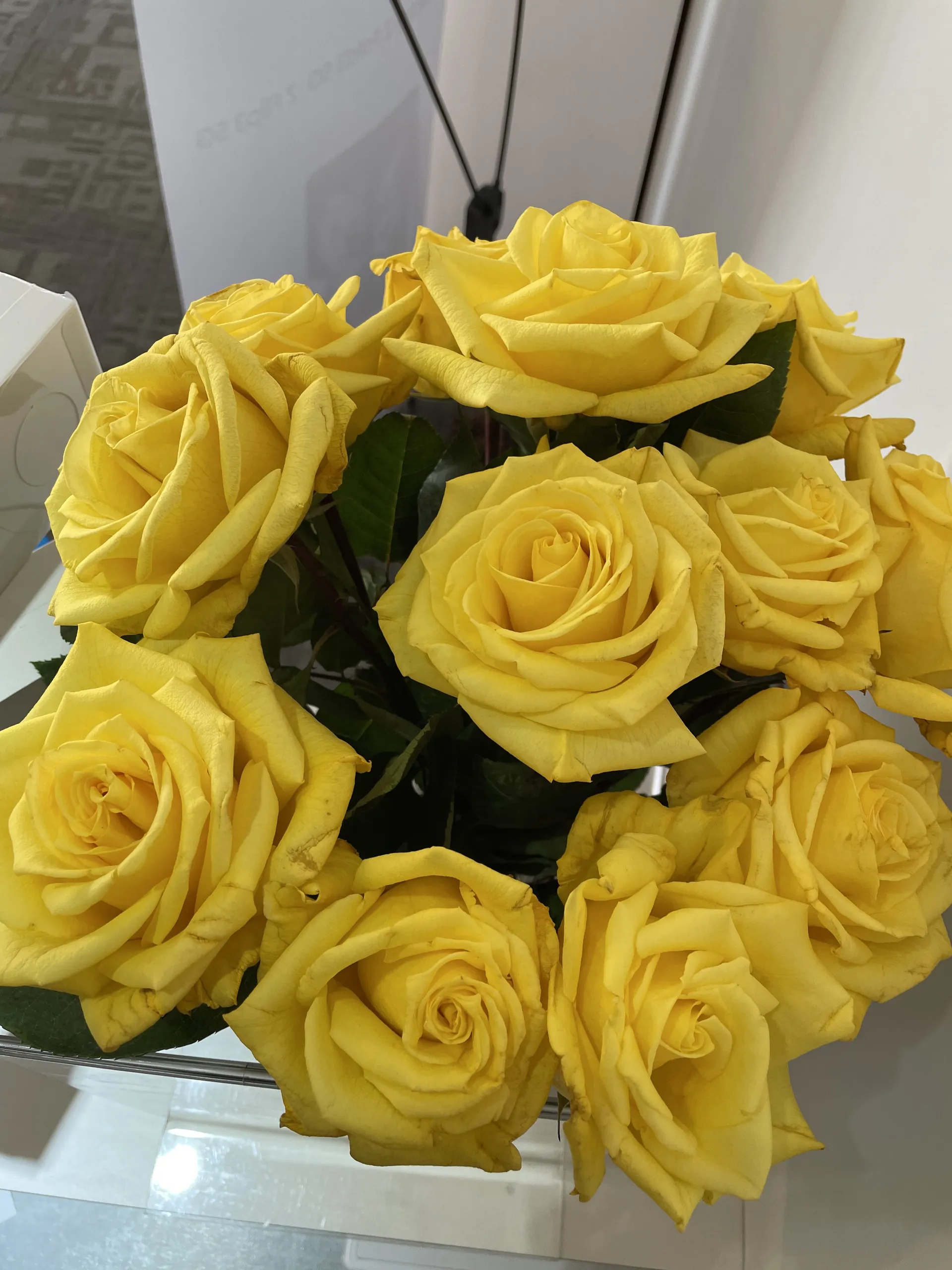 LittleToes OnlyFans header