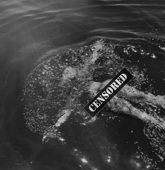 𝑨𝒏𝒈𝒆𝒍𝒂 OnlyFans header