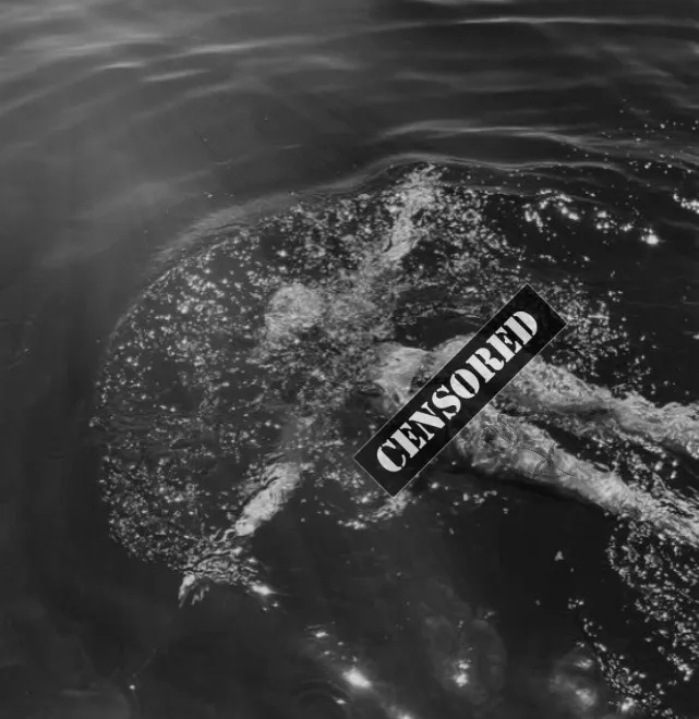 𝑨𝒏𝒈𝒆𝒍𝒂 OnlyFans header