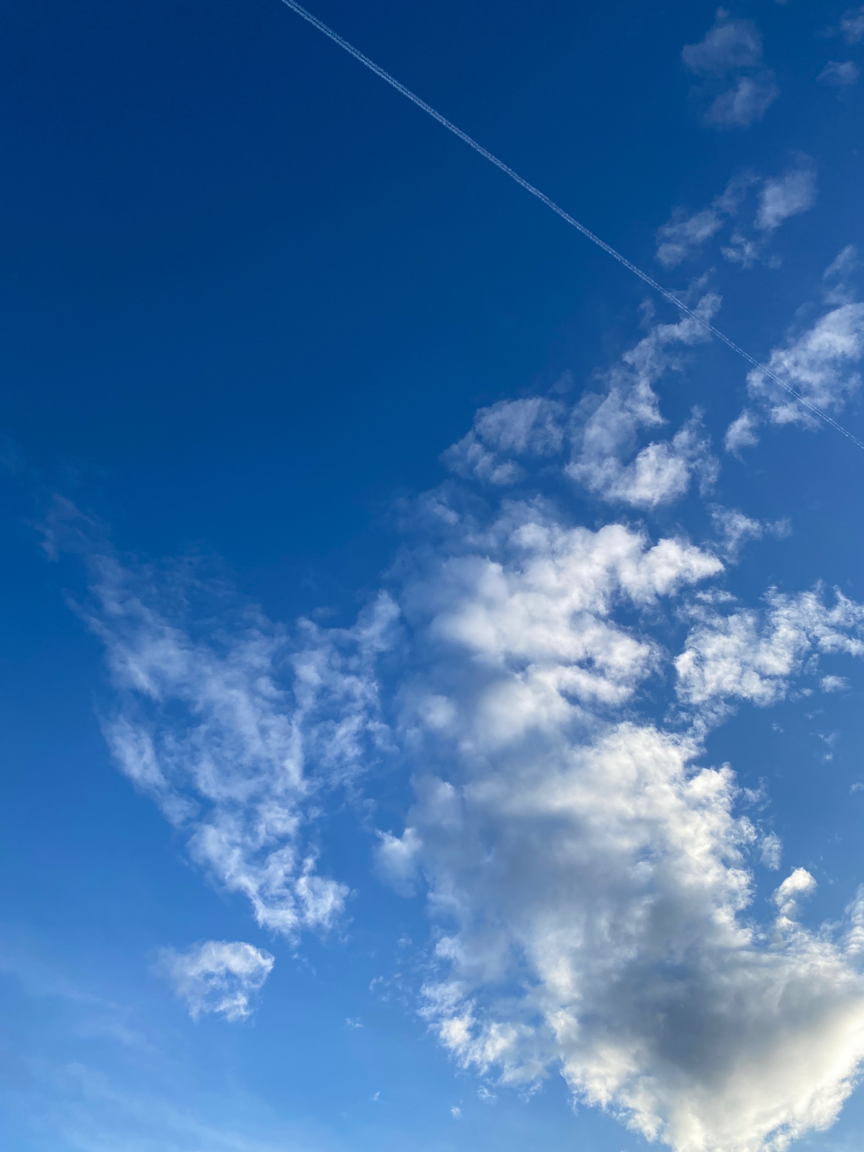 Noah OnlyFans header