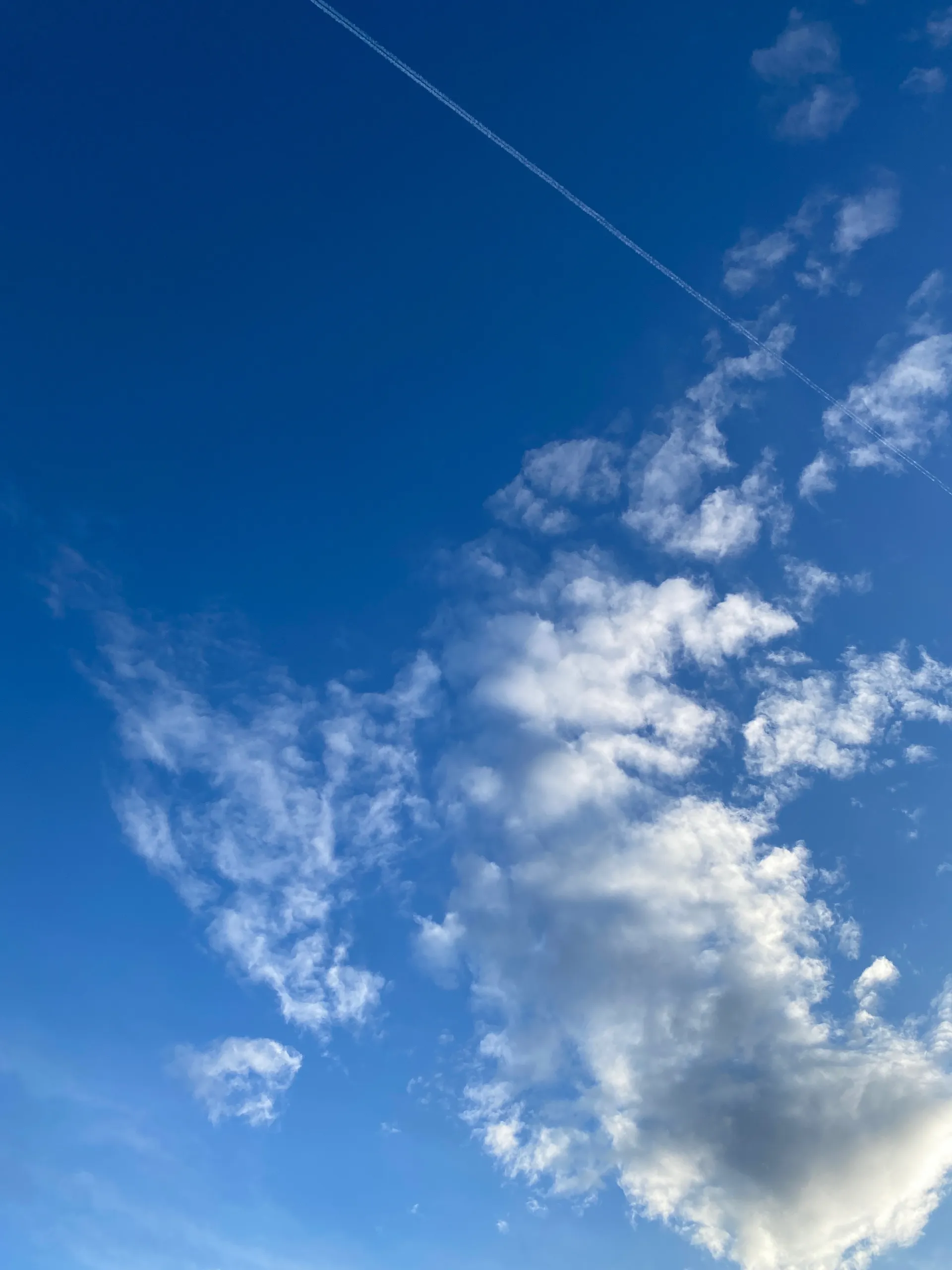 Noah OnlyFans header