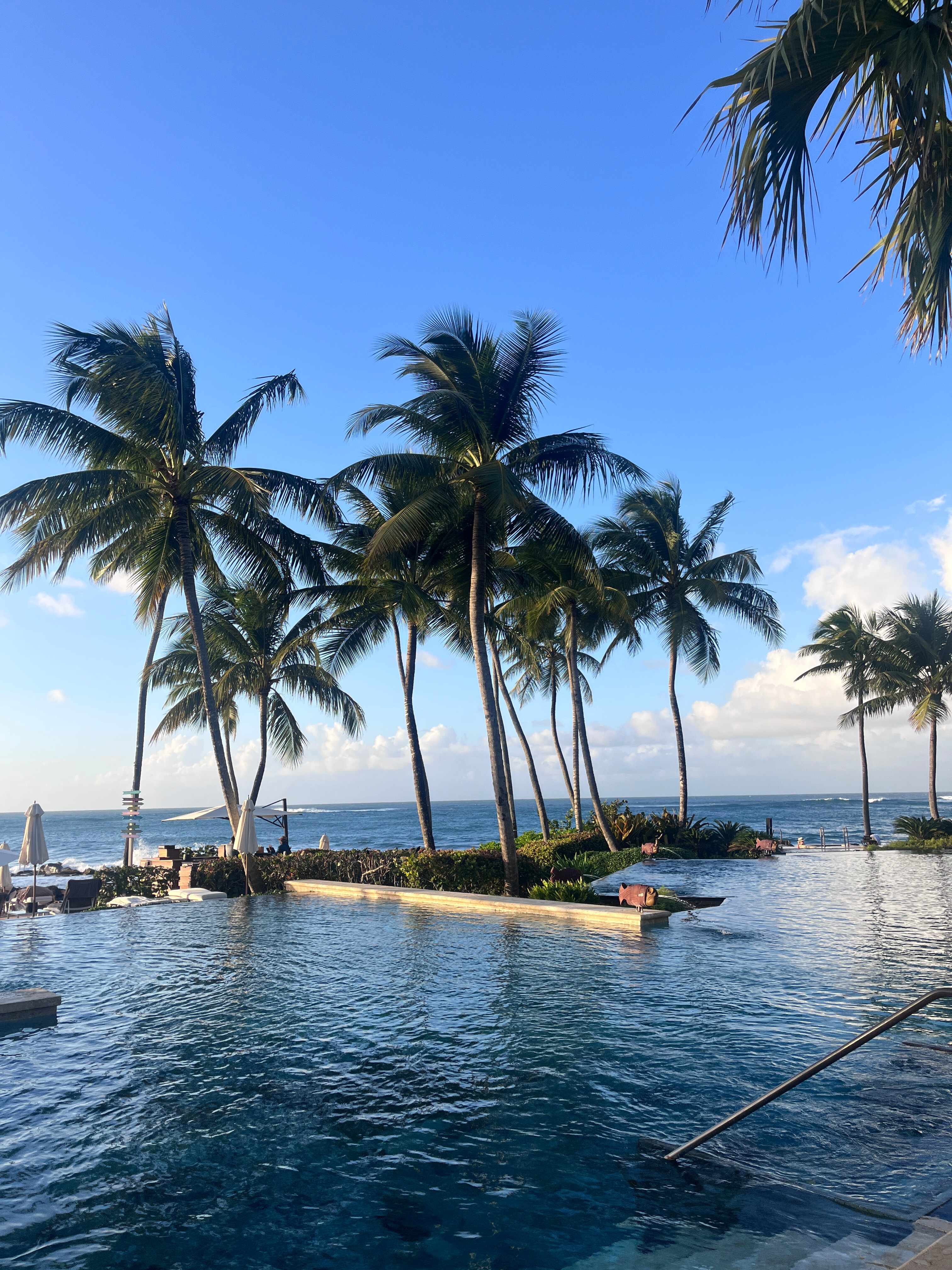 🩵 OnlyFans header