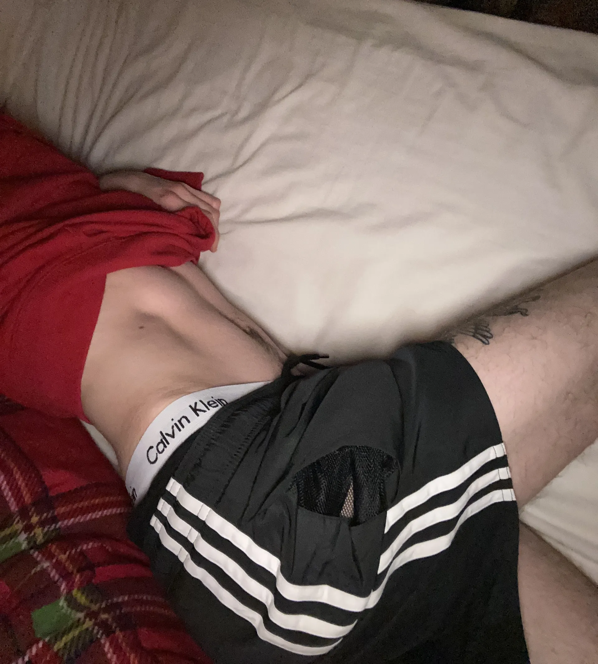 Alex OnlyFans header