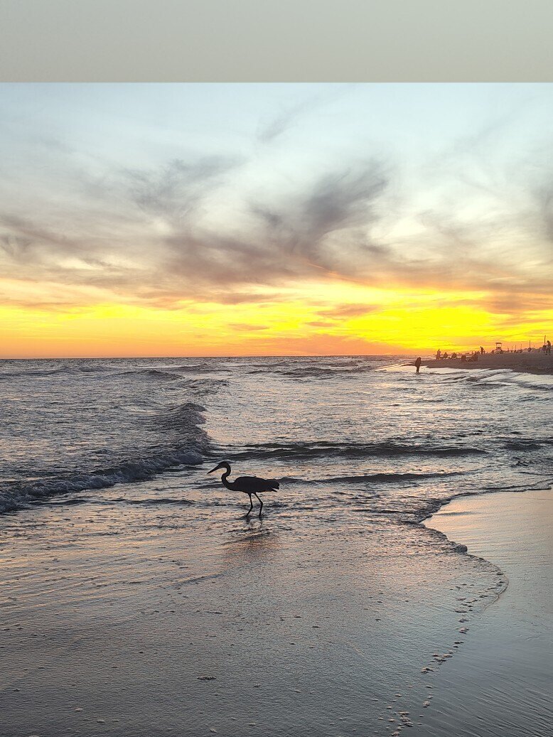 Maddie OnlyFans header