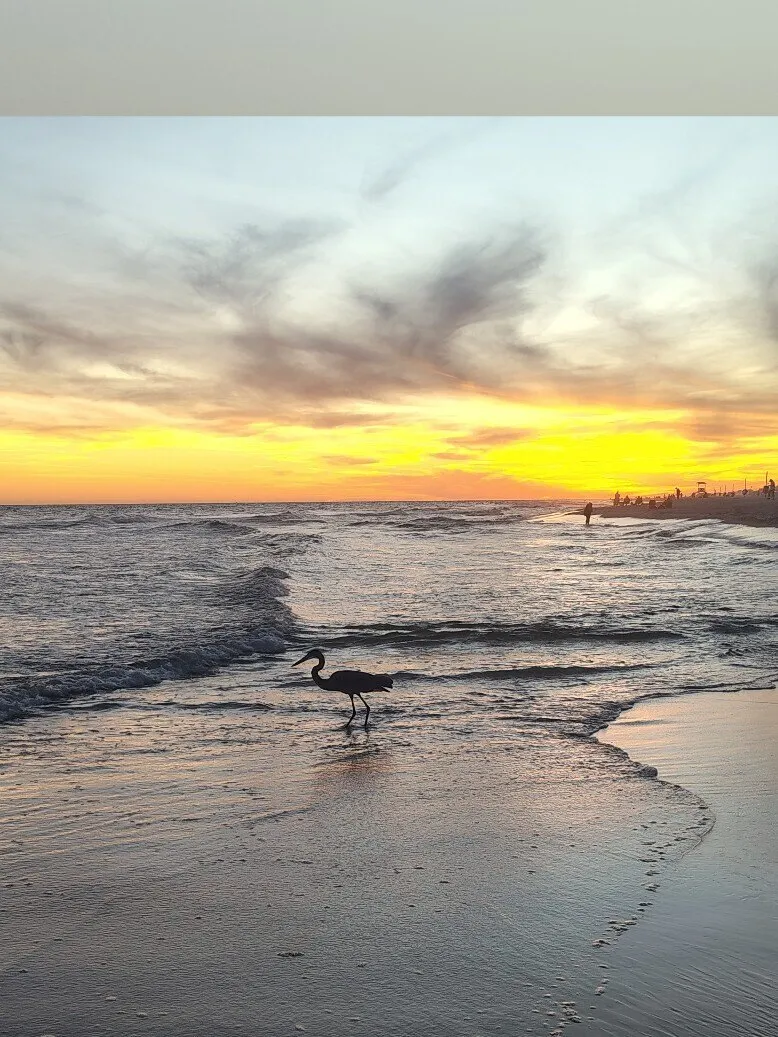 Maddie OnlyFans header