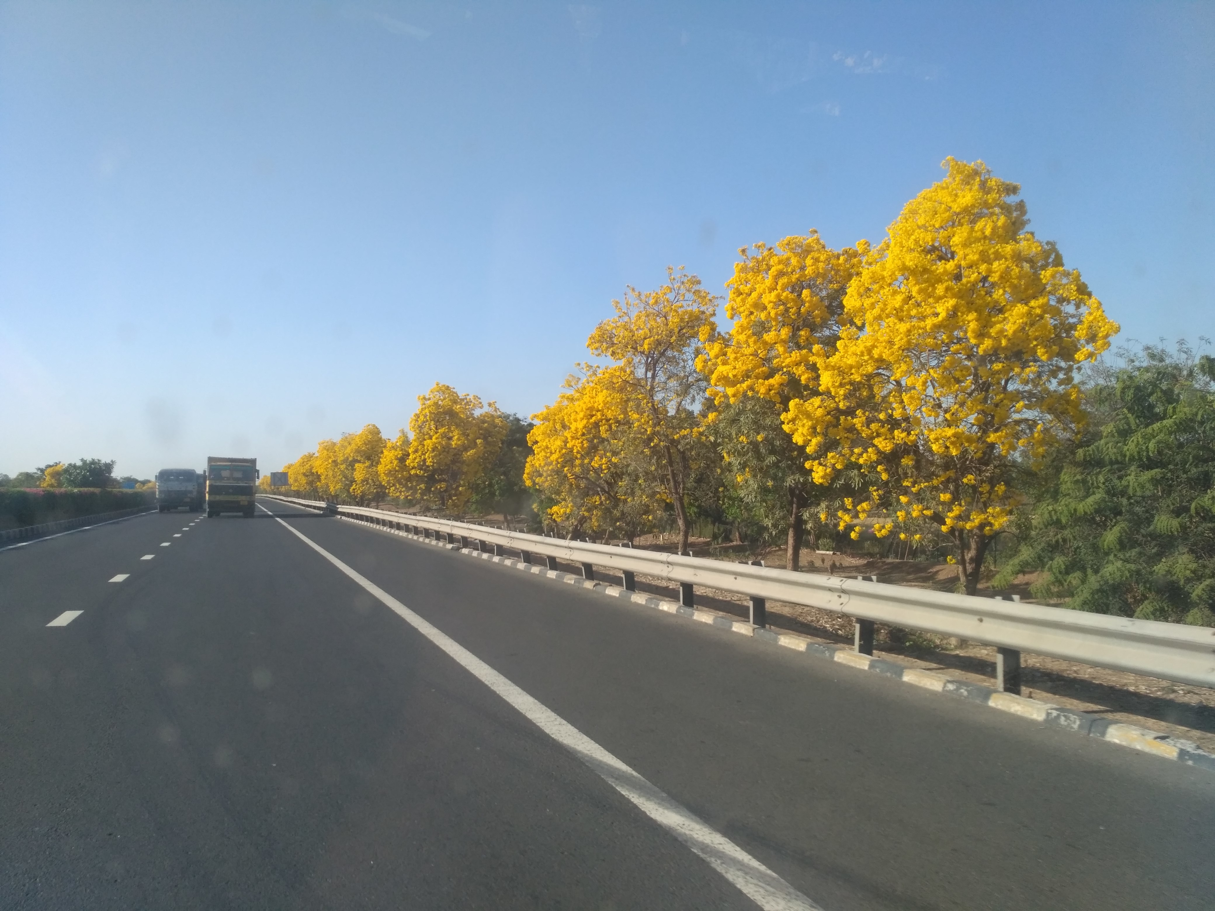 Stupid Loser OnlyFans