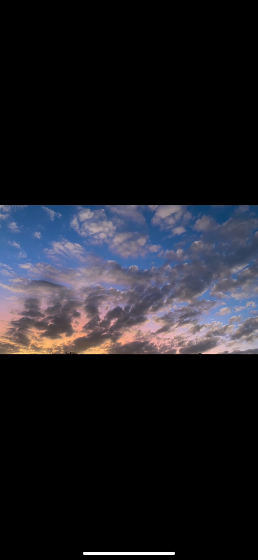 Your kitty OnlyFans header