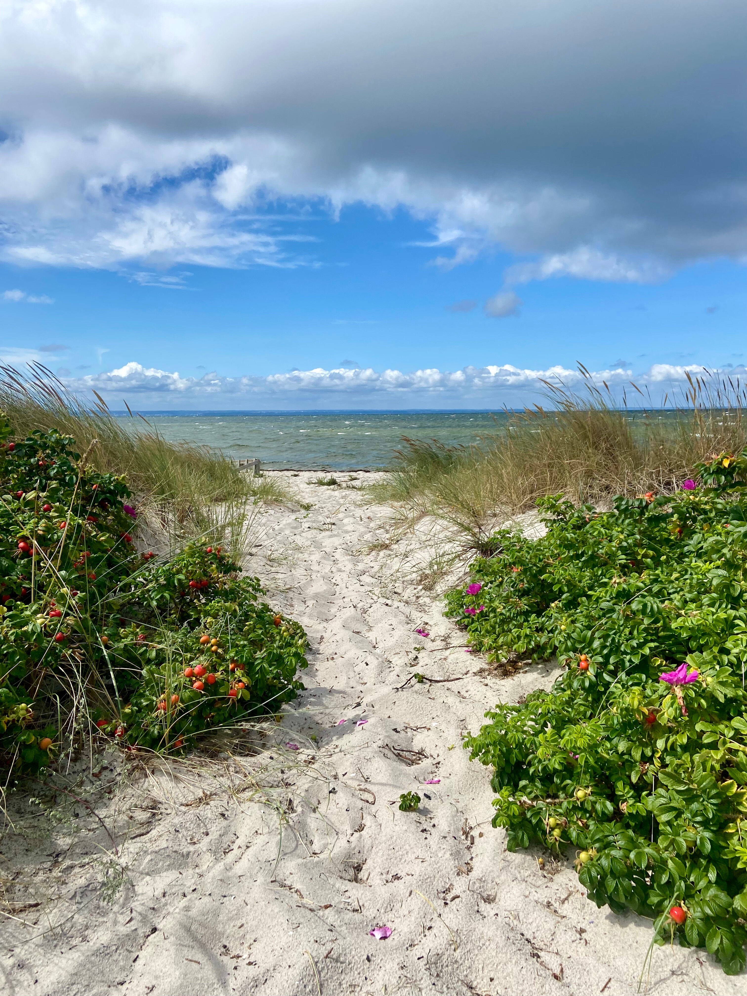 Mari.jeoun OnlyFans header