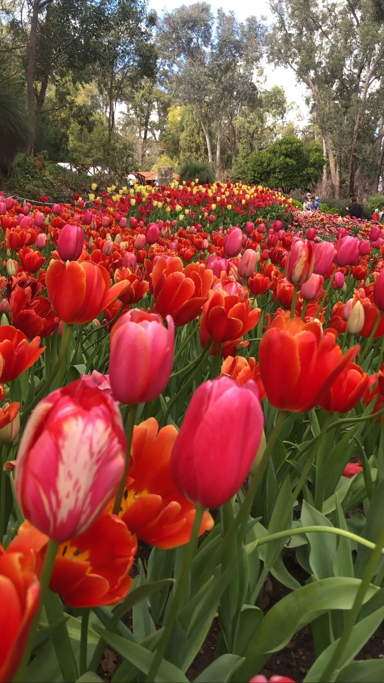 Lucy✨ OnlyFans header