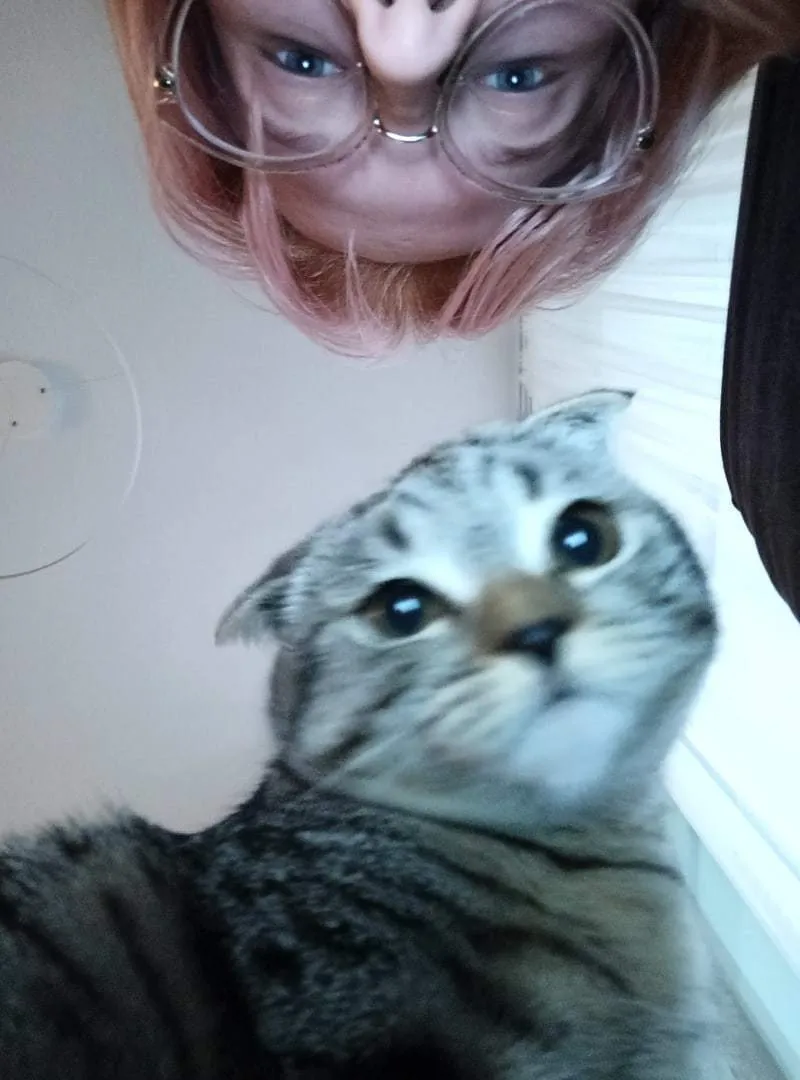 your lisa ♡ OnlyFans header