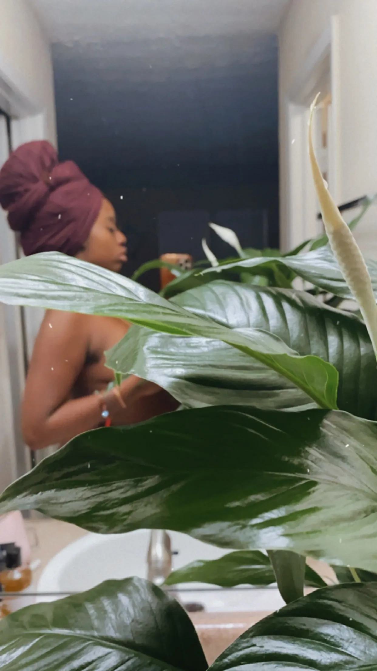 Lotus OnlyFans header