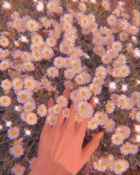 Вероника OnlyFans header