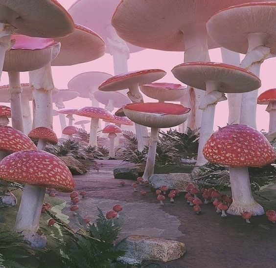 Mandy Belfort OnlyFans