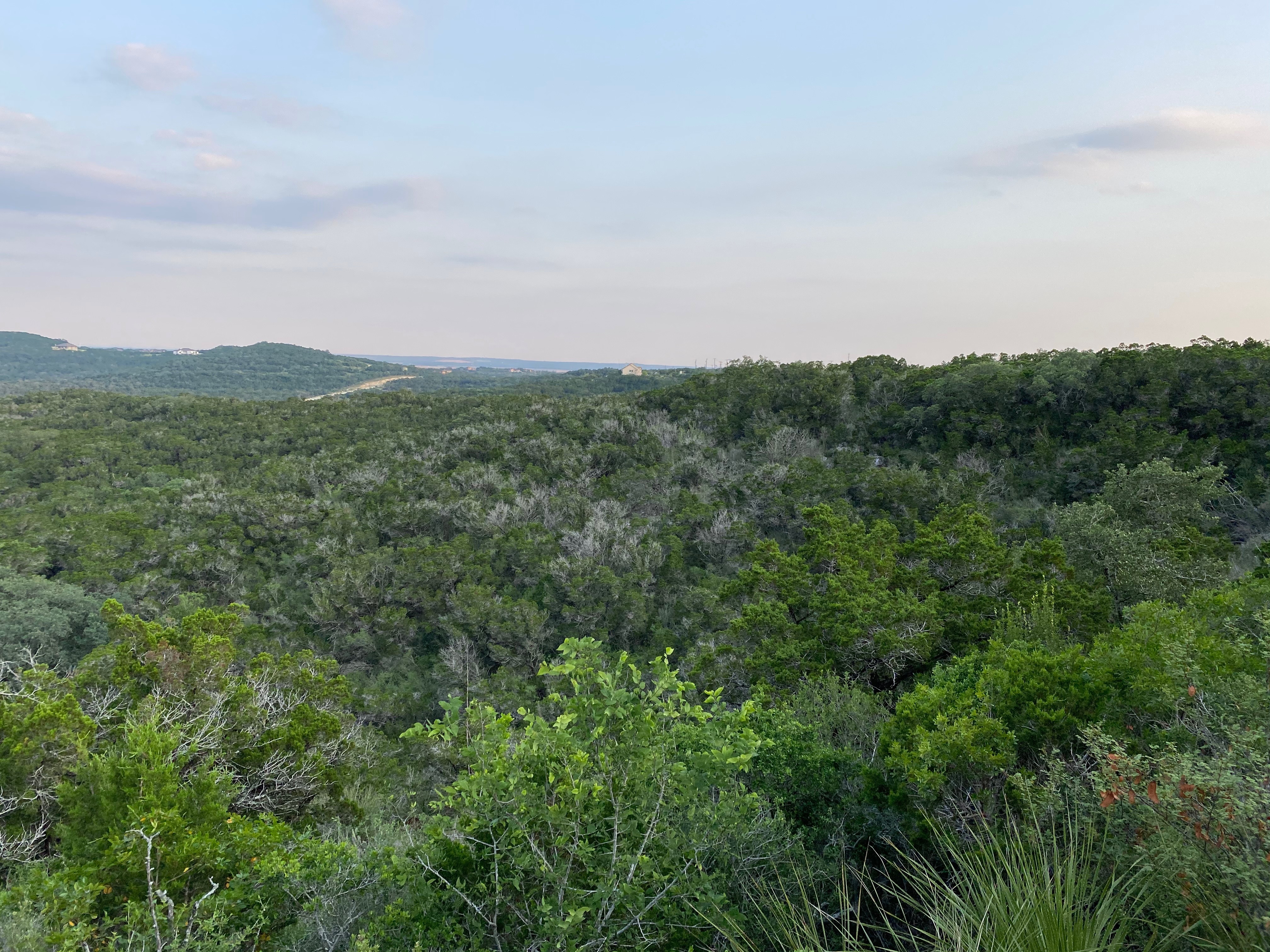 MistressLee OnlyFans header