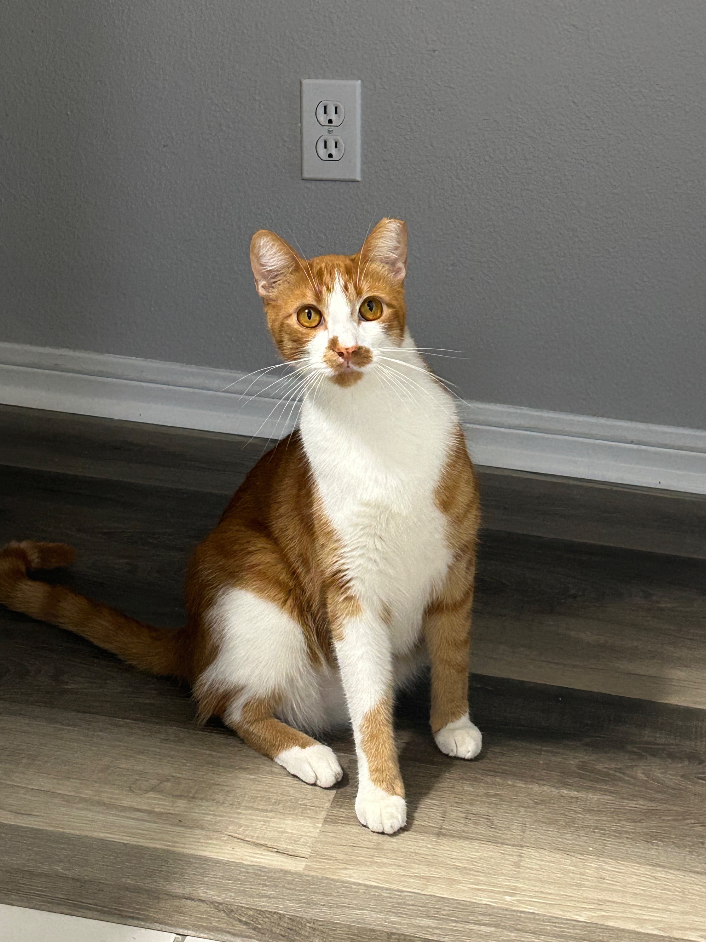 BaconMan450 OnlyFans