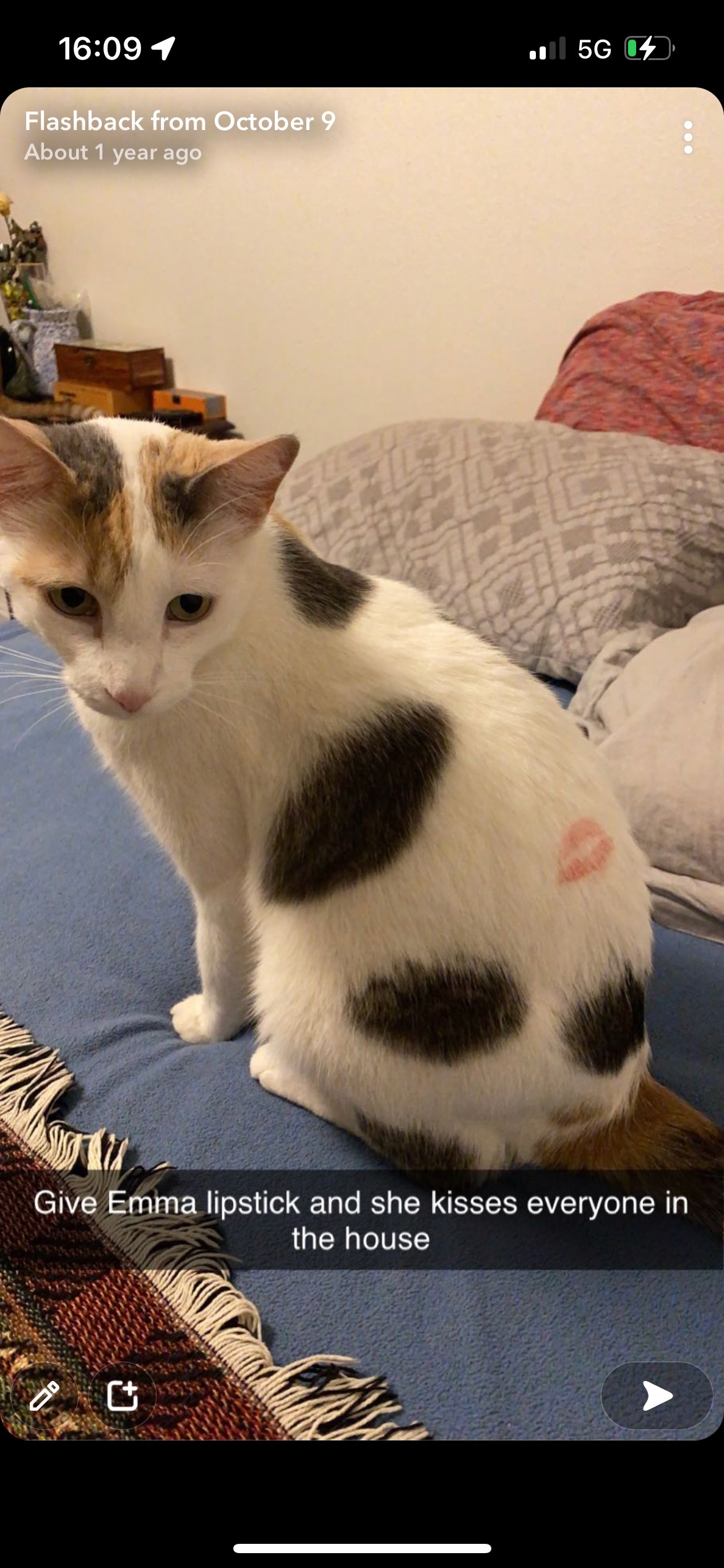 Ms. Kitty OnlyFans header