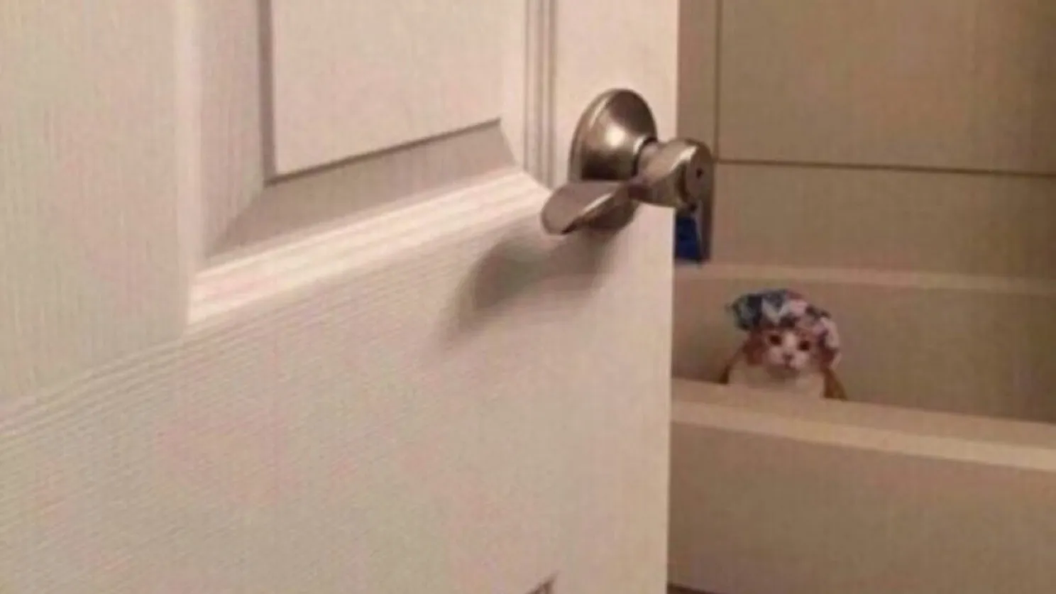 ꒰˖⁺ᴢᴀɴᴅᴢᴀɴᴅ˖˚ ༘ OnlyFans header