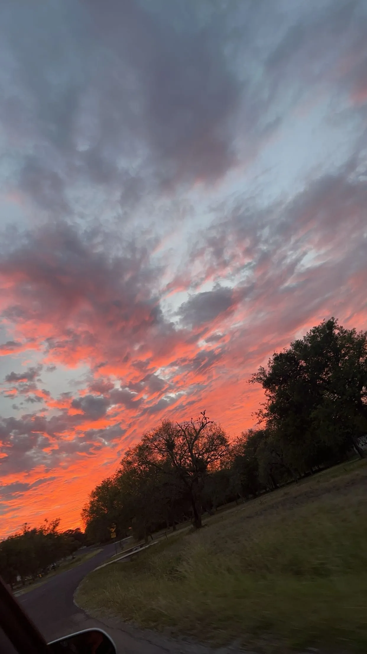 Peach 🕷️ OnlyFans header