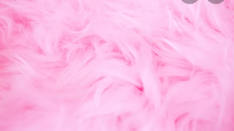 Serenity ✨ OnlyFans header