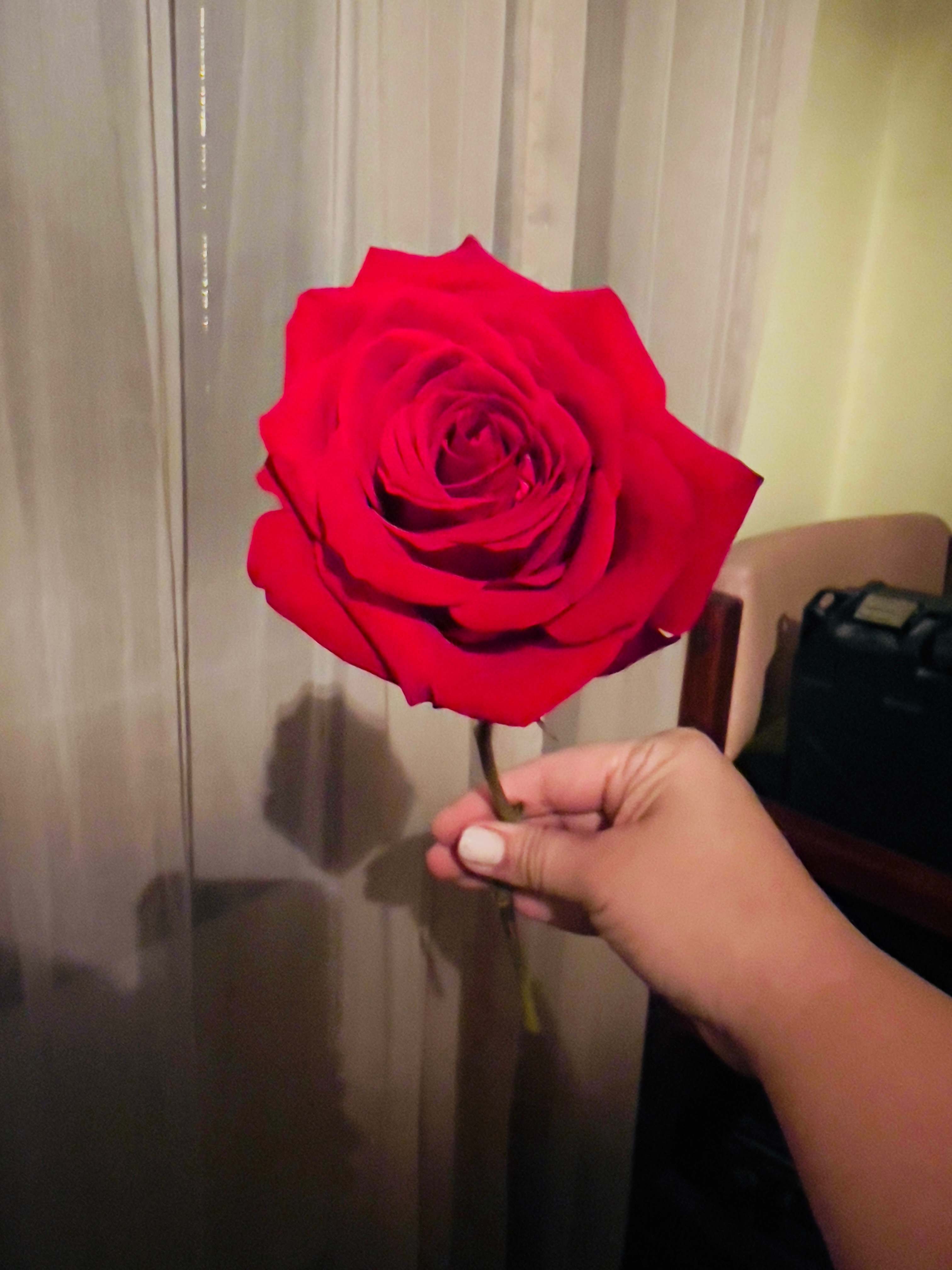 Your Pretend Girlfriend 👱🏼‍♀️ OnlyFans header