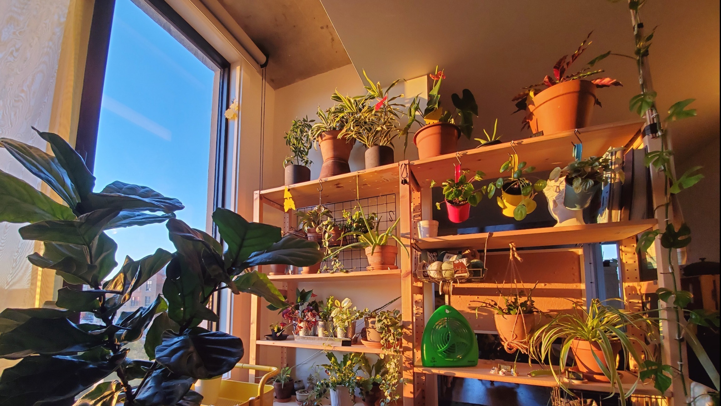 Baby OnlyFans header