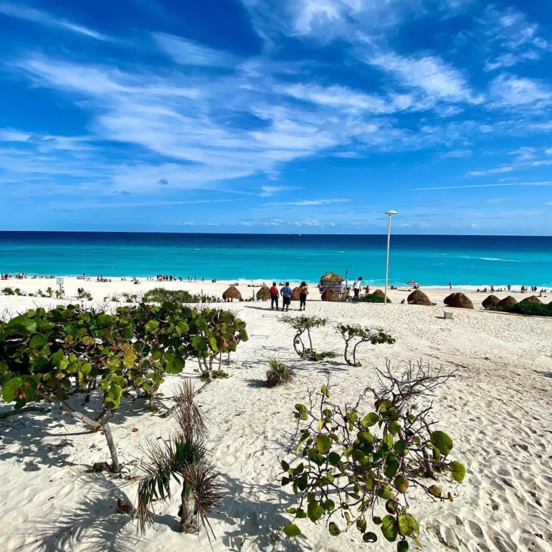 Tinoalvrez OnlyFans header