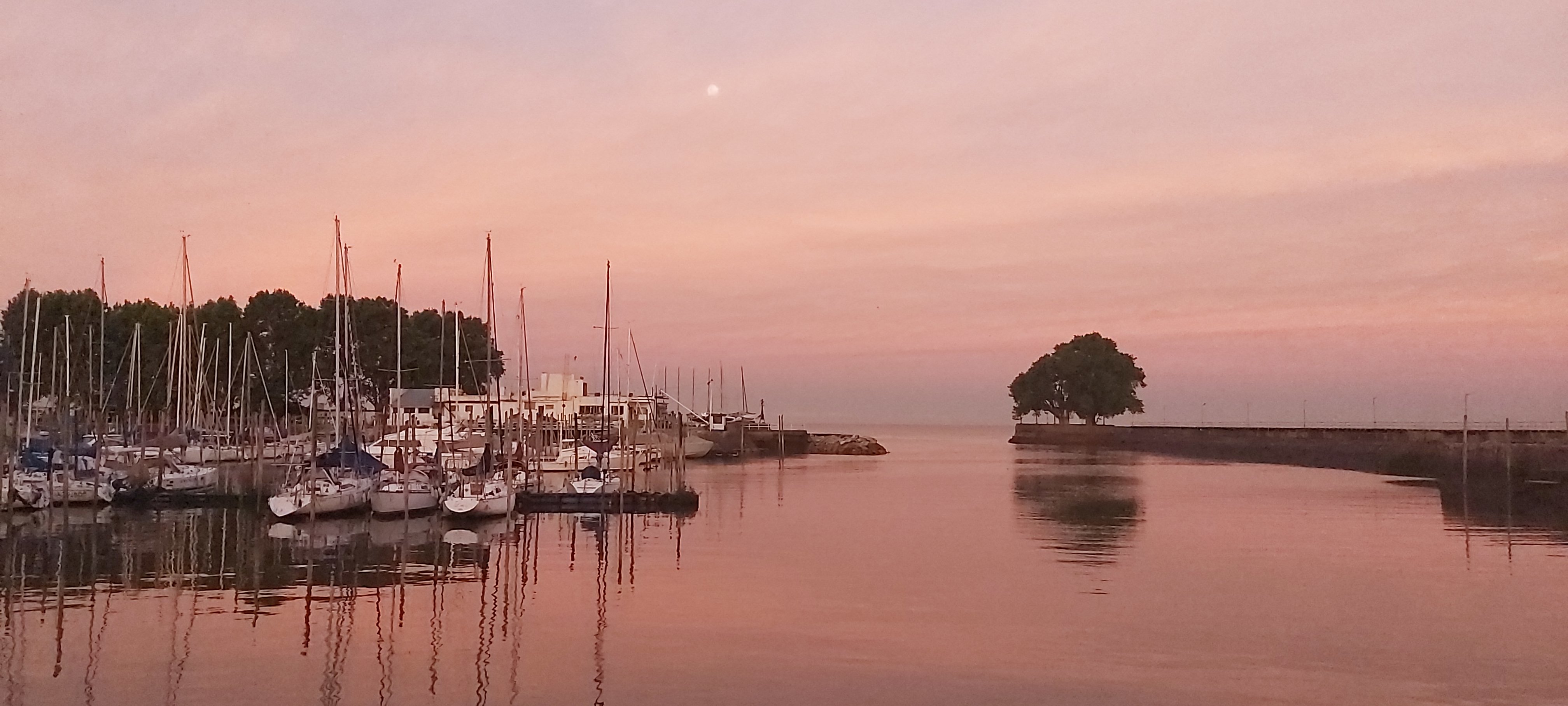 Camila Berns OnlyFans header