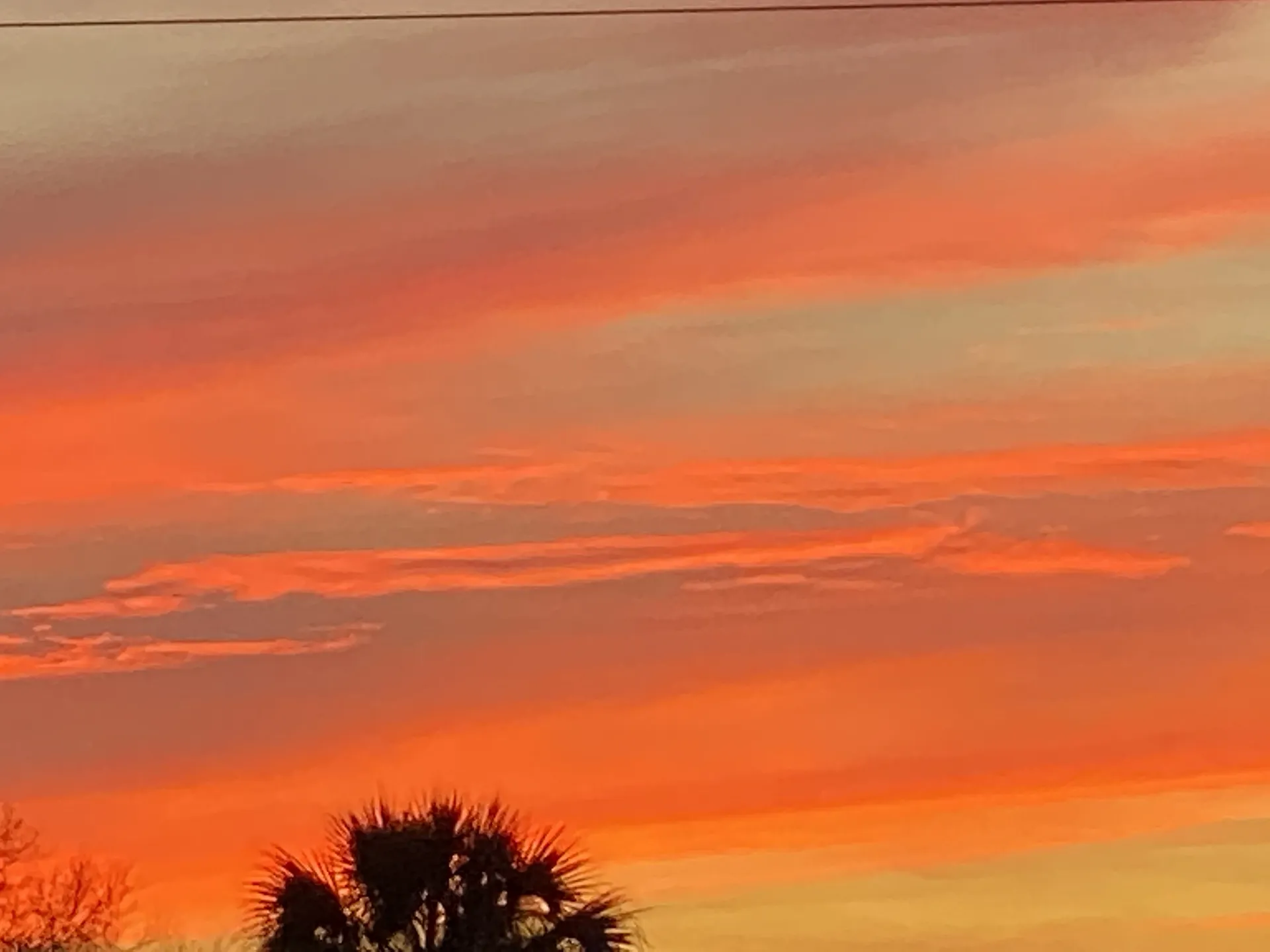 Punkgoddess OnlyFans header