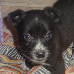 Russian lady OnlyFans