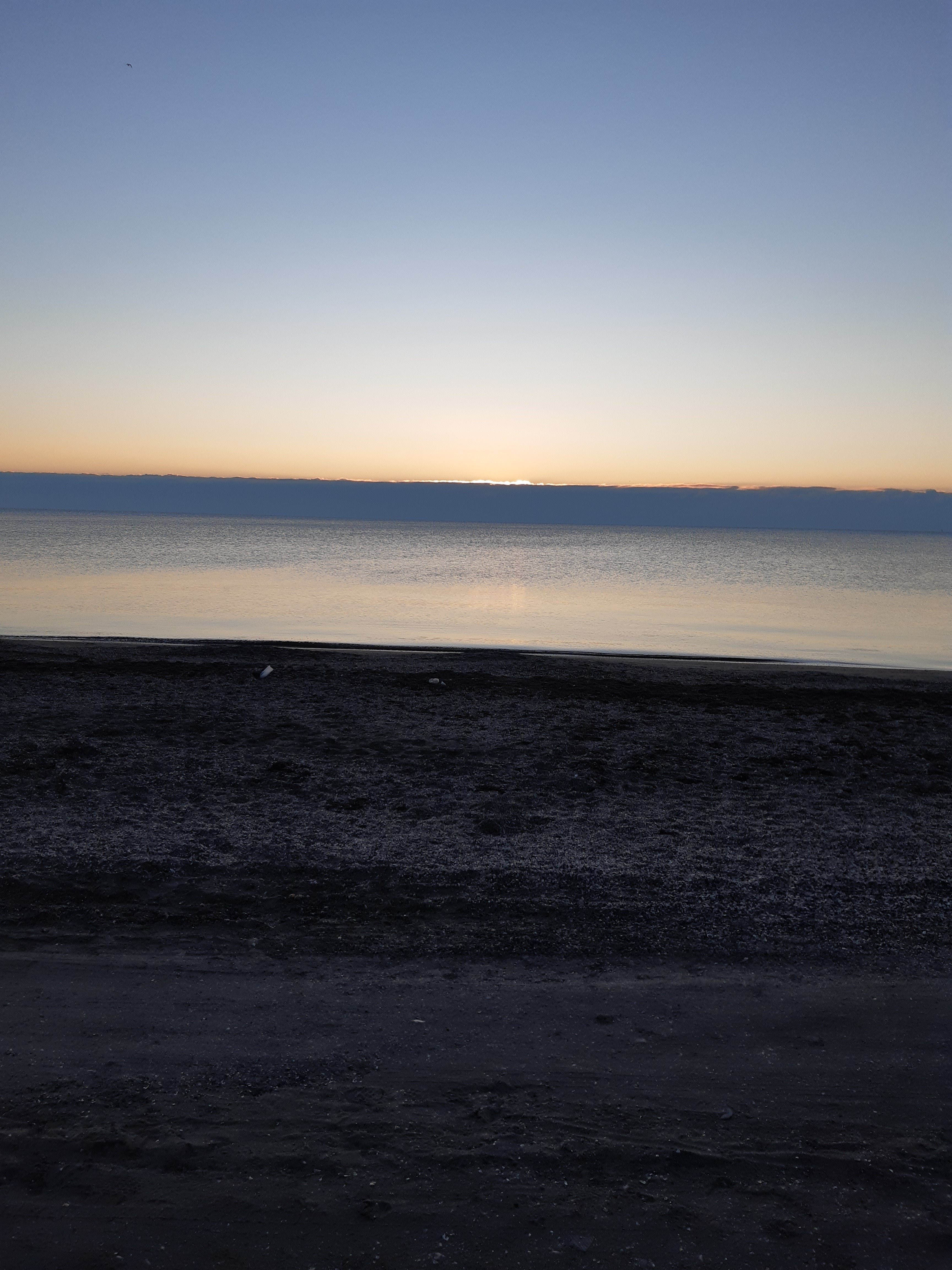 Dasha OnlyFans header