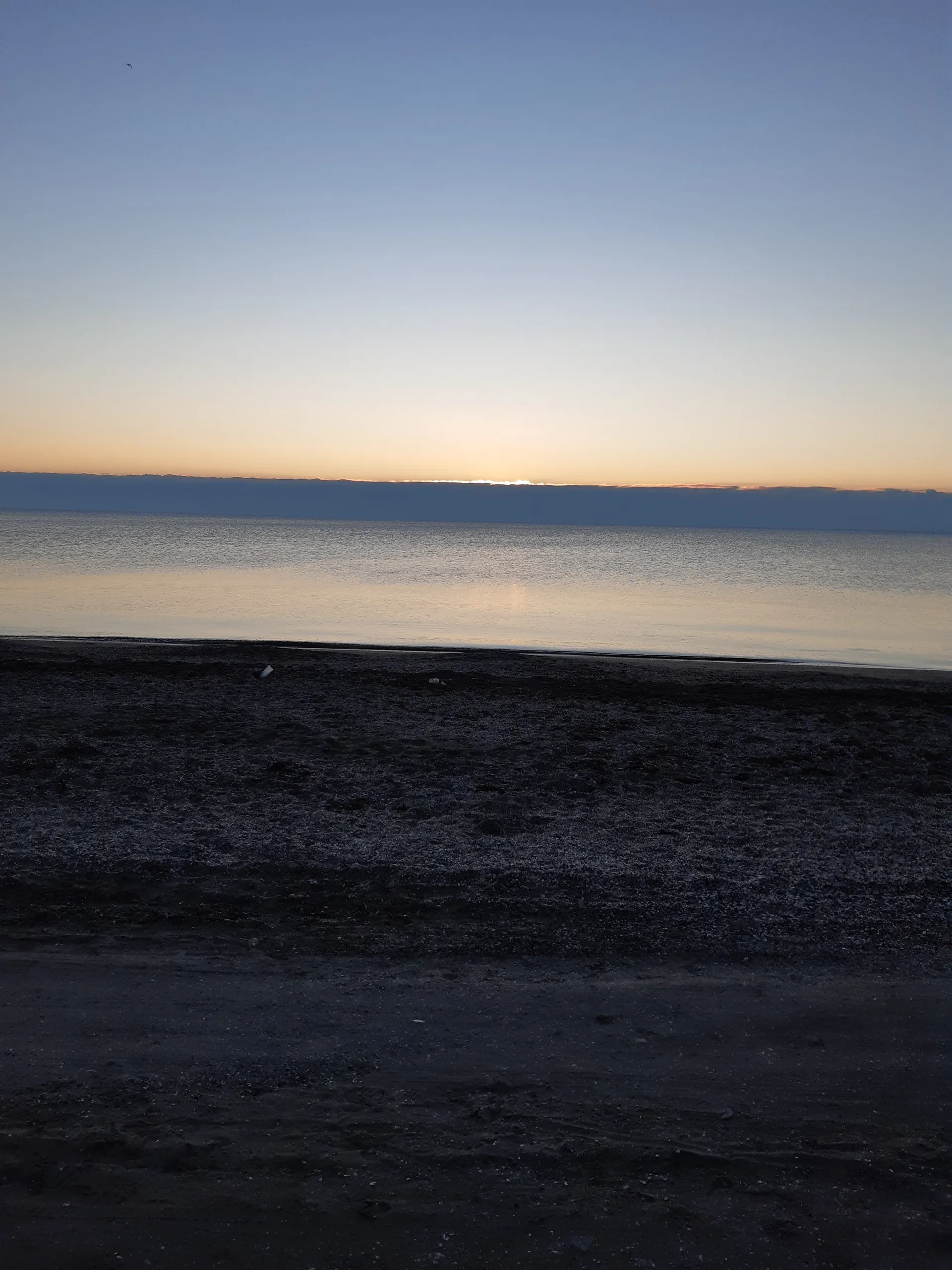 Dasha OnlyFans header