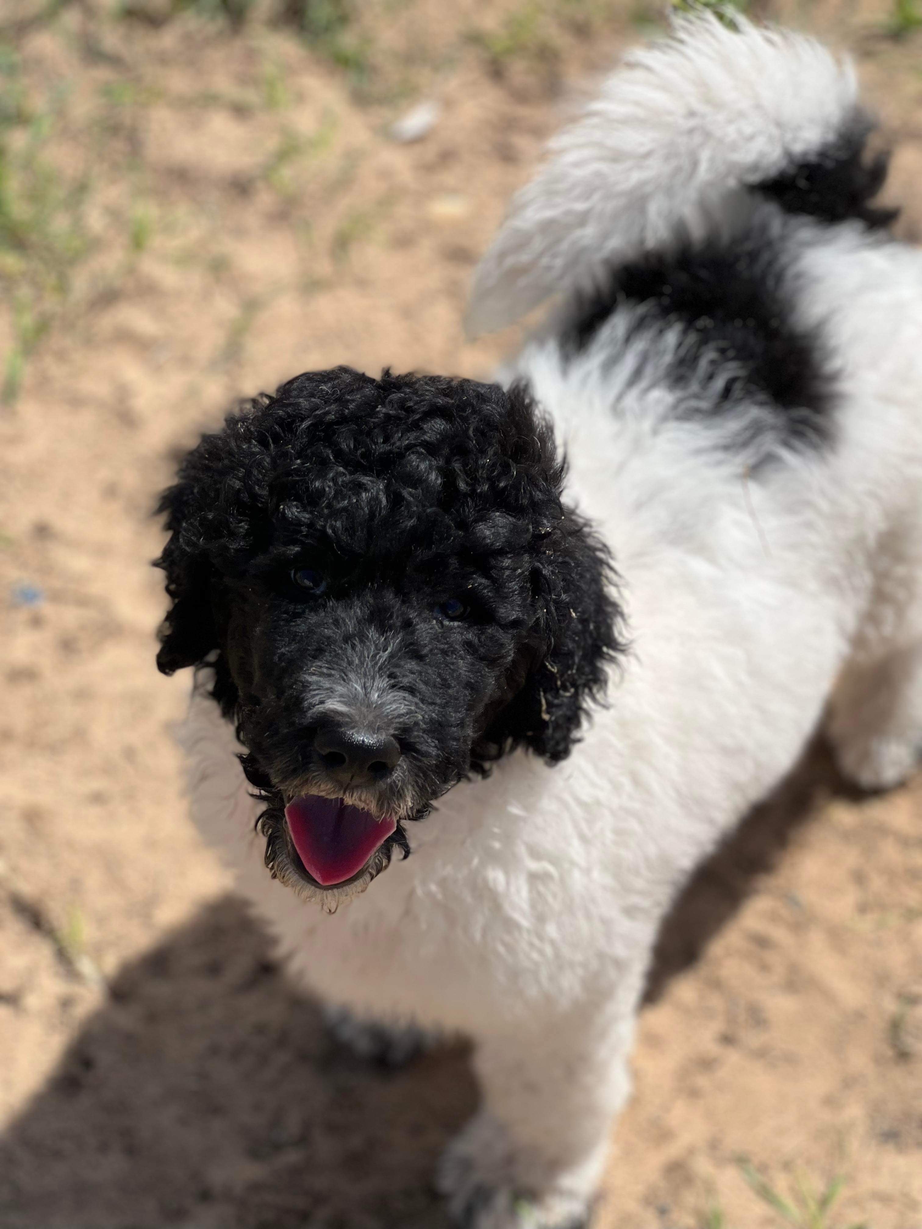 Yoursecretgal2 OnlyFans header