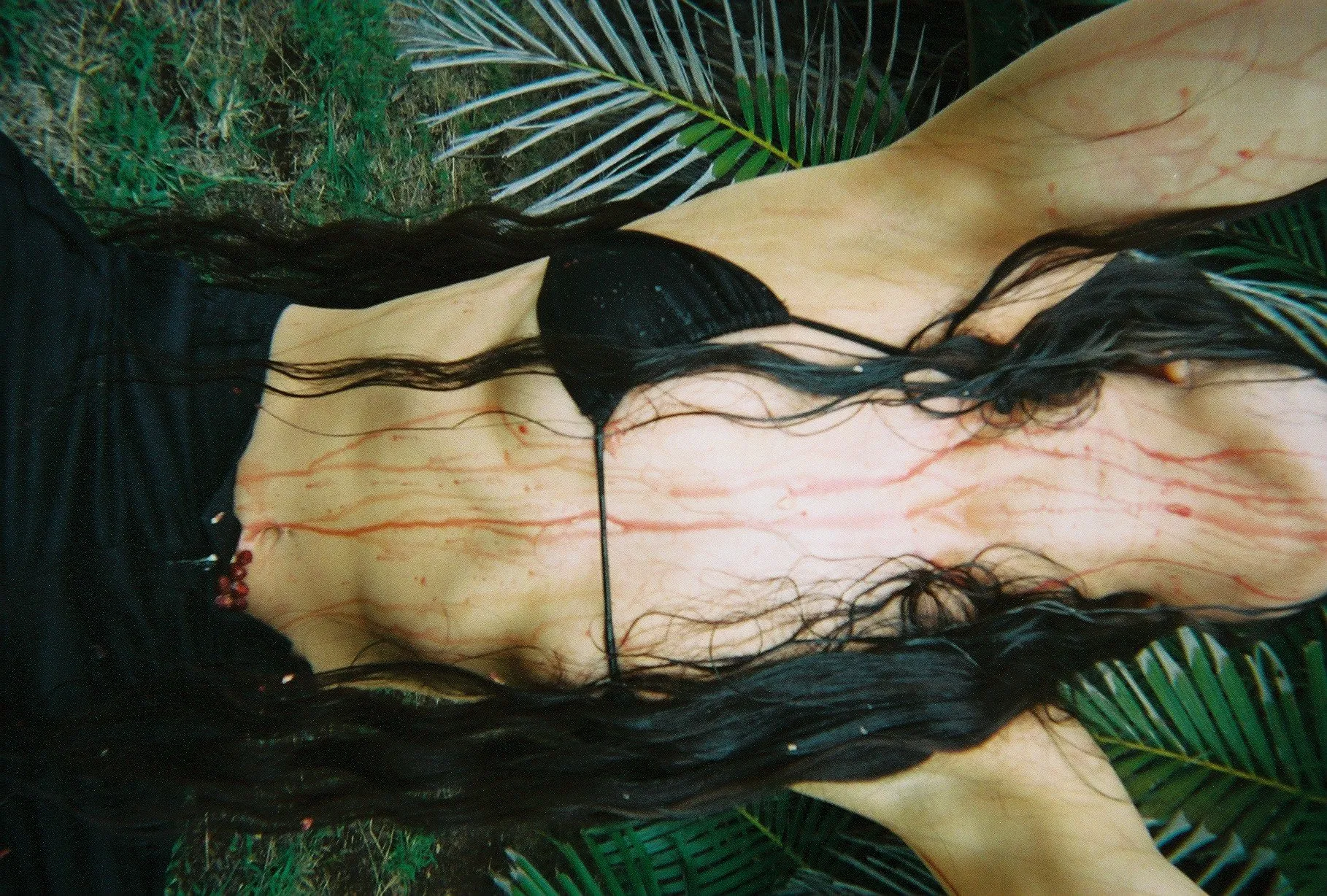 💓bambi💓 OnlyFans header