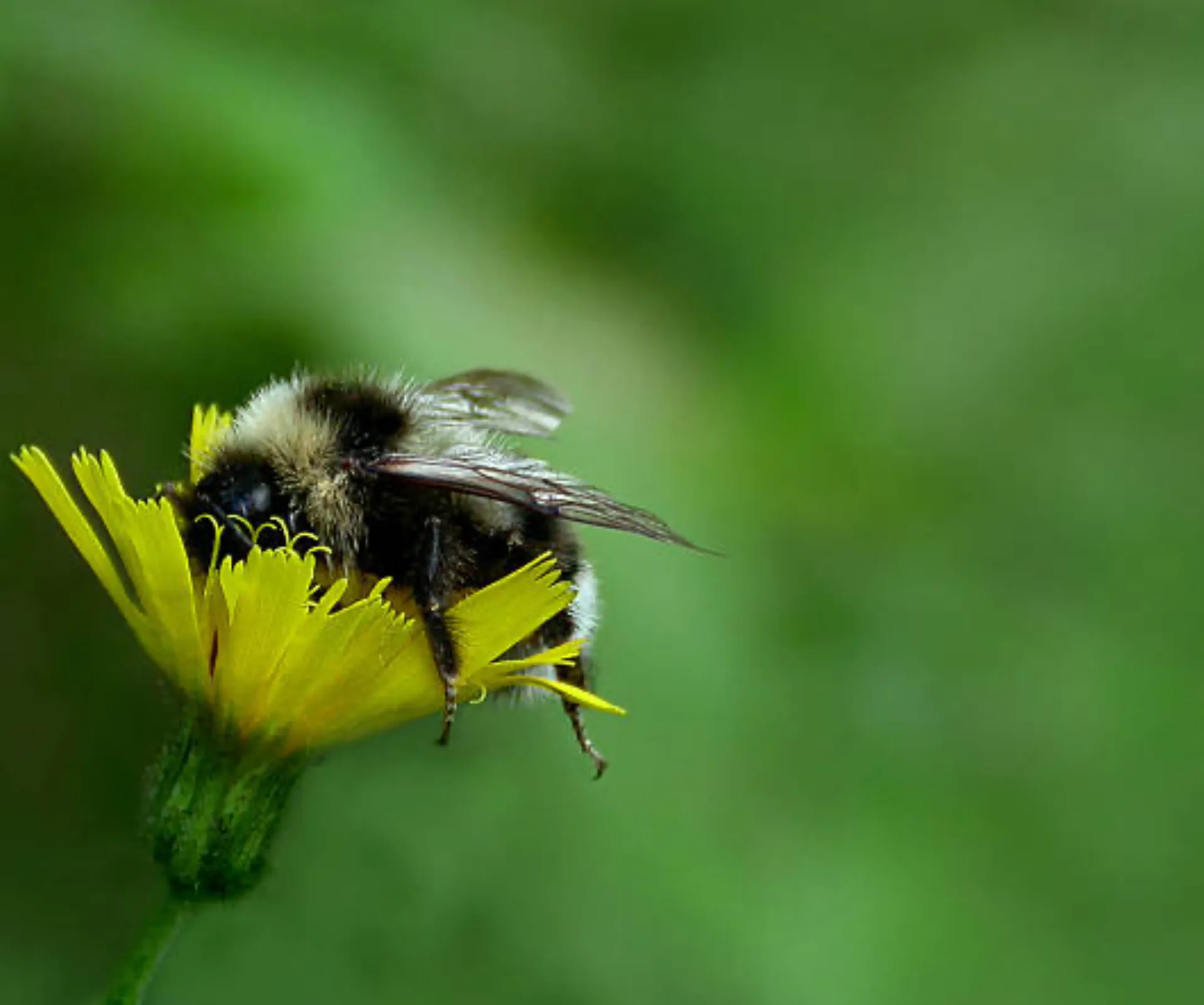 Sole mates OnlyFans header