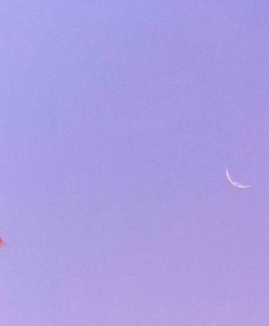 Bella Preciosa OnlyFans header