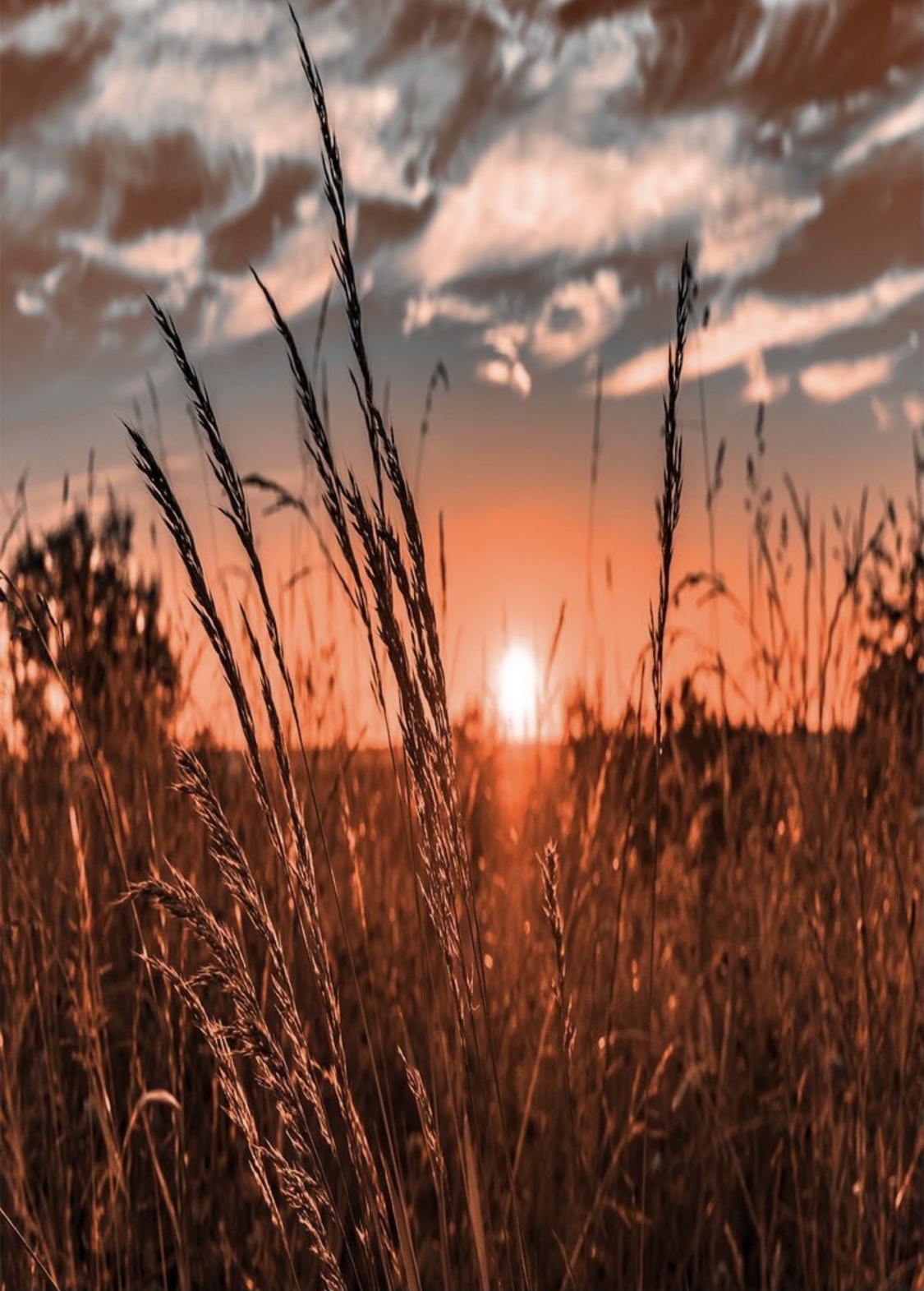 YourSouthernSweetheart OnlyFans header